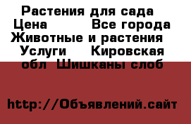 Растения для сада › Цена ­ 200 - Все города Животные и растения » Услуги   . Кировская обл.,Шишканы слоб.